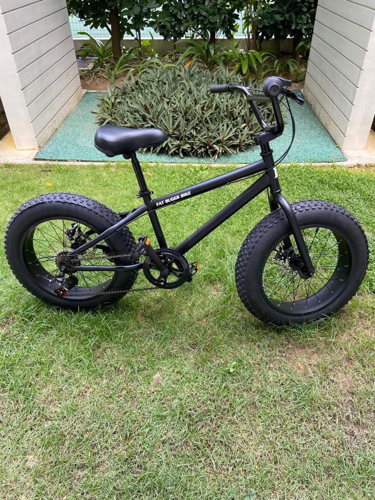 Fat online buggs bike