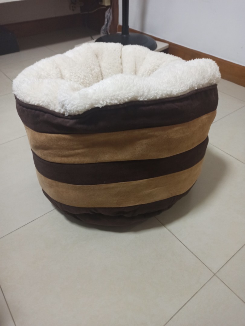 honeycomb cat bed