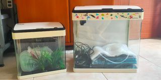 (Category: ) located in . Submitted by ReuseRecycleReown (Listing ID 1058547706, Image 1). Description: .