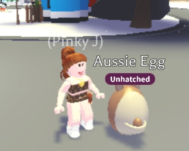 Adopt me Aussie egg, Hobbies & Toys, Toys & Games on Carousell