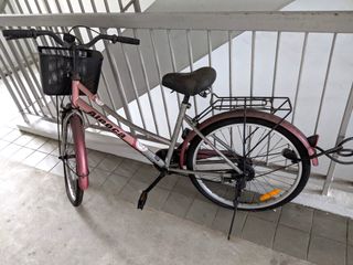 (Category: ) located in . Submitted by csm1006 (Listing ID 1058627305, Image 1). Description: .