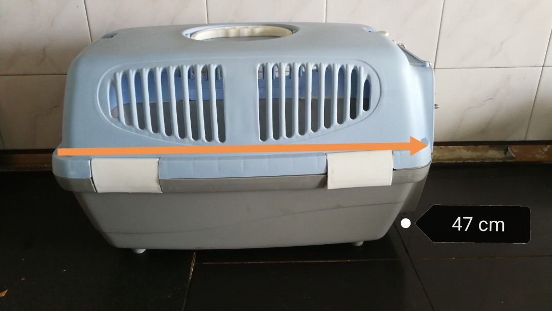 Cat carrier, Pet Supplies, Homes & Other Pet Accessories on Carousell