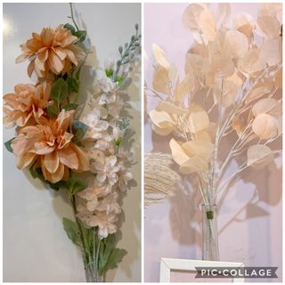 (Category: ) located in . Submitted by wildthing.flowers (Listing ID 1058654496, Image 1). Description: .