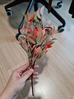 (Category: ) located in . Submitted by piyo16 (Listing ID 1058621069, Image 1). Description: .
