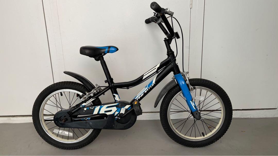 Giant Animator 16 Sports Equipment Bicycles Parts Bicycles on Carousell