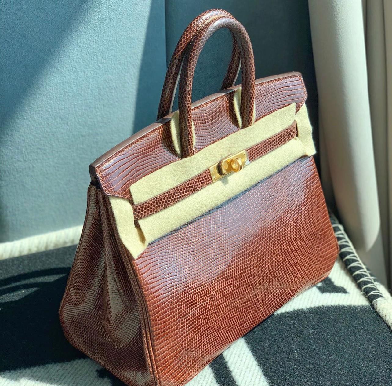 lizard hermes birkin