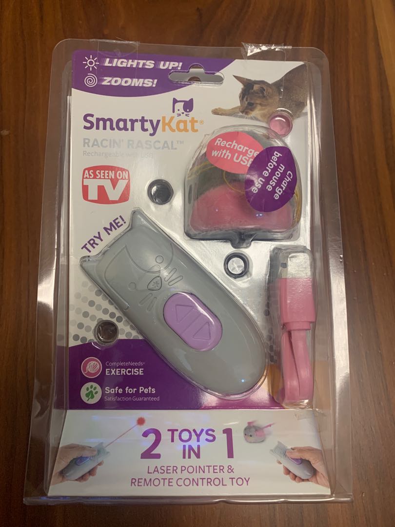 SmartyKat Racin Rascal toy Pet Supplies Homes Other Pet Accessories on Carousell