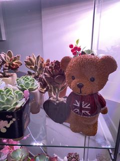 (Category: ) located in . Submitted by whimsicalsucculent (Listing ID 1057286566, Image 1). Description: .