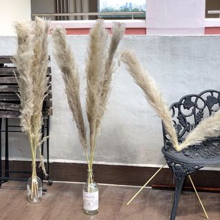 (Category: ) located in . Submitted by wildthing.flowers (Listing ID 1058647927, Image 1). Description: .