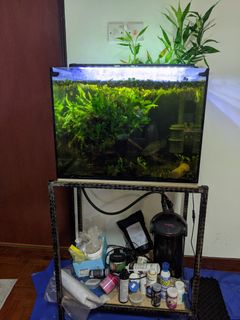 (Category: ) located in . Submitted by jeremi23 (Listing ID 1058833392, Image 1). Description: .