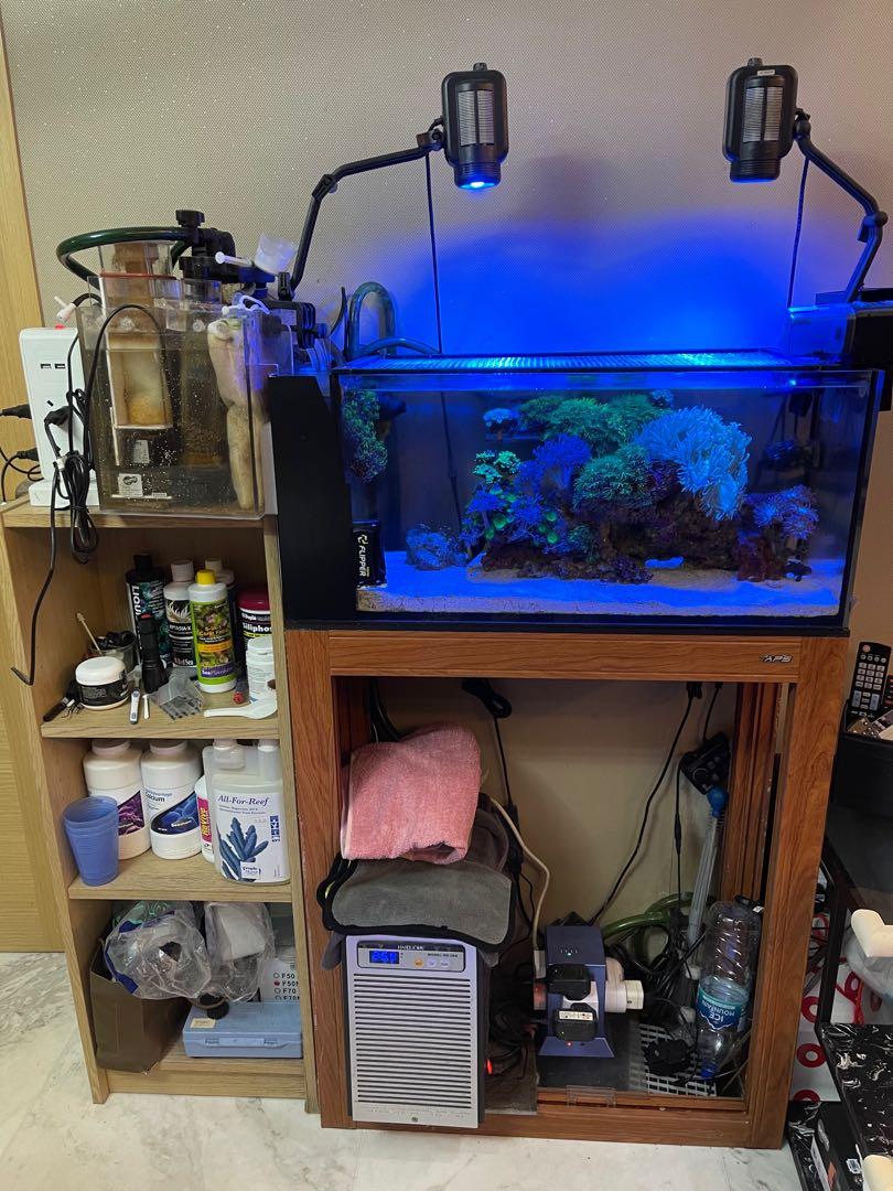 nuvo fusion peninsula 20