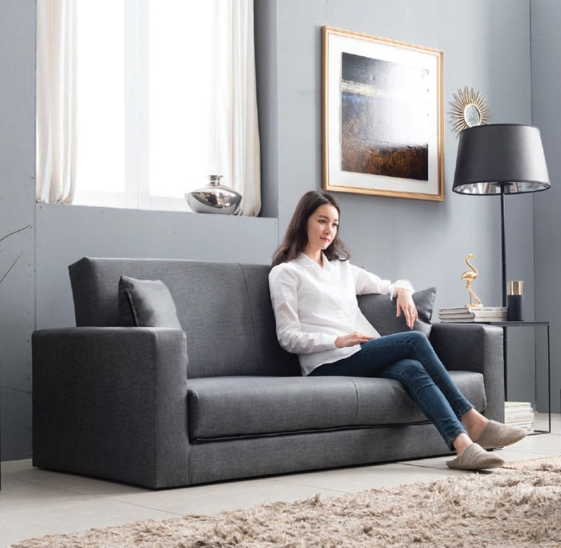Premium sofa bed sales