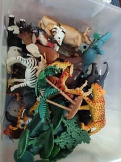 (Category: ) located in . Submitted by johnsoo16 (Listing ID 1059009999, Image 1). Description: .