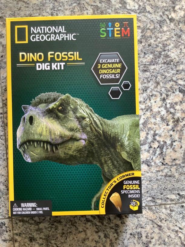 Dino fossil dig kit national geographic, Hobbies & Toys, Toys & Games