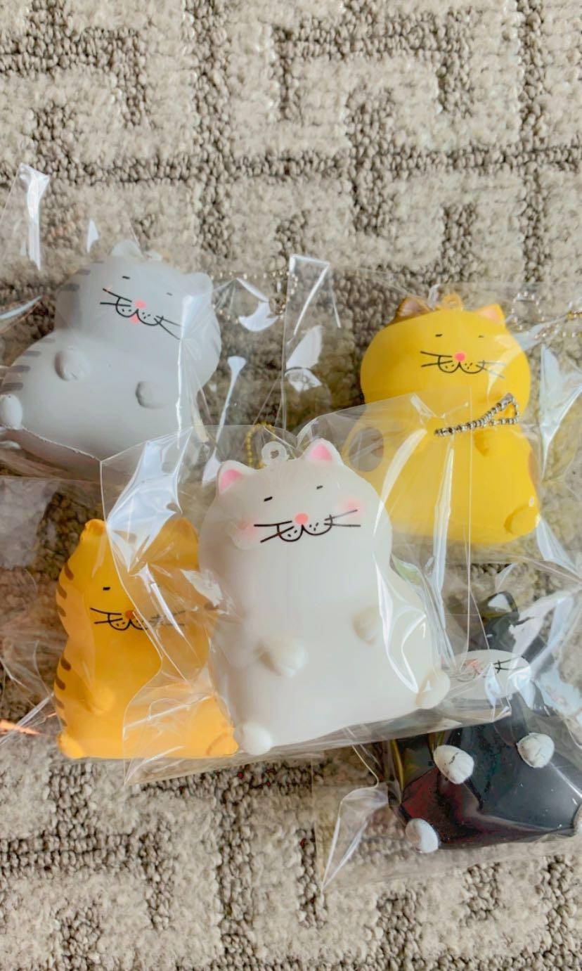 fat cat squishies
