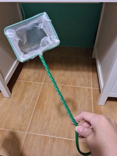 (Category: ) located in . Submitted by michellemingyi (Listing ID 1059180574, Image 1). Description: .