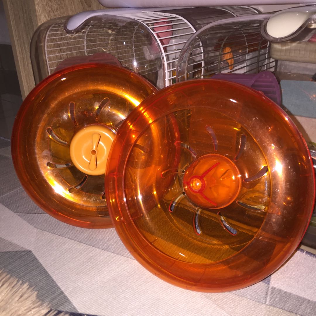 Habitrail wheel 2025