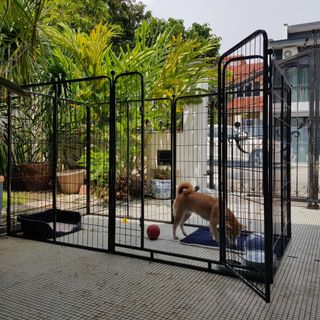 (Category: ) located in . Submitted by fourpaws.official (Listing ID 1058994724, Image 1). Description: .