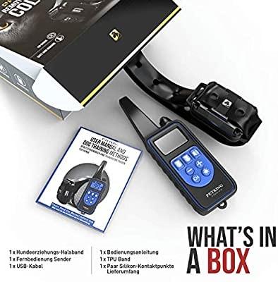 PetKing Premium Dog Training Collar with Remote for Small Large