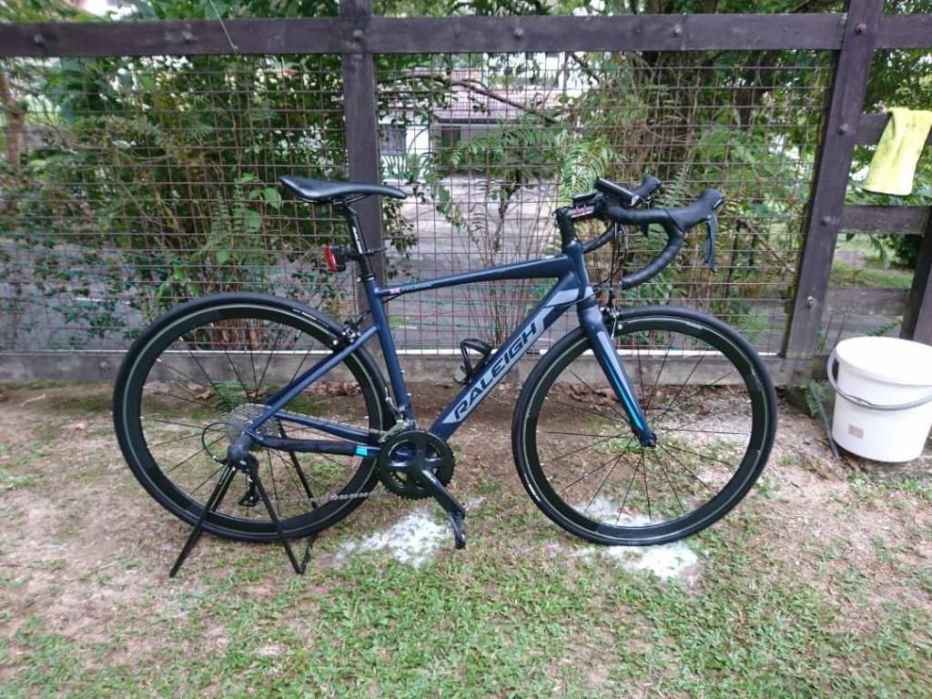 Raleigh sojourn on sale