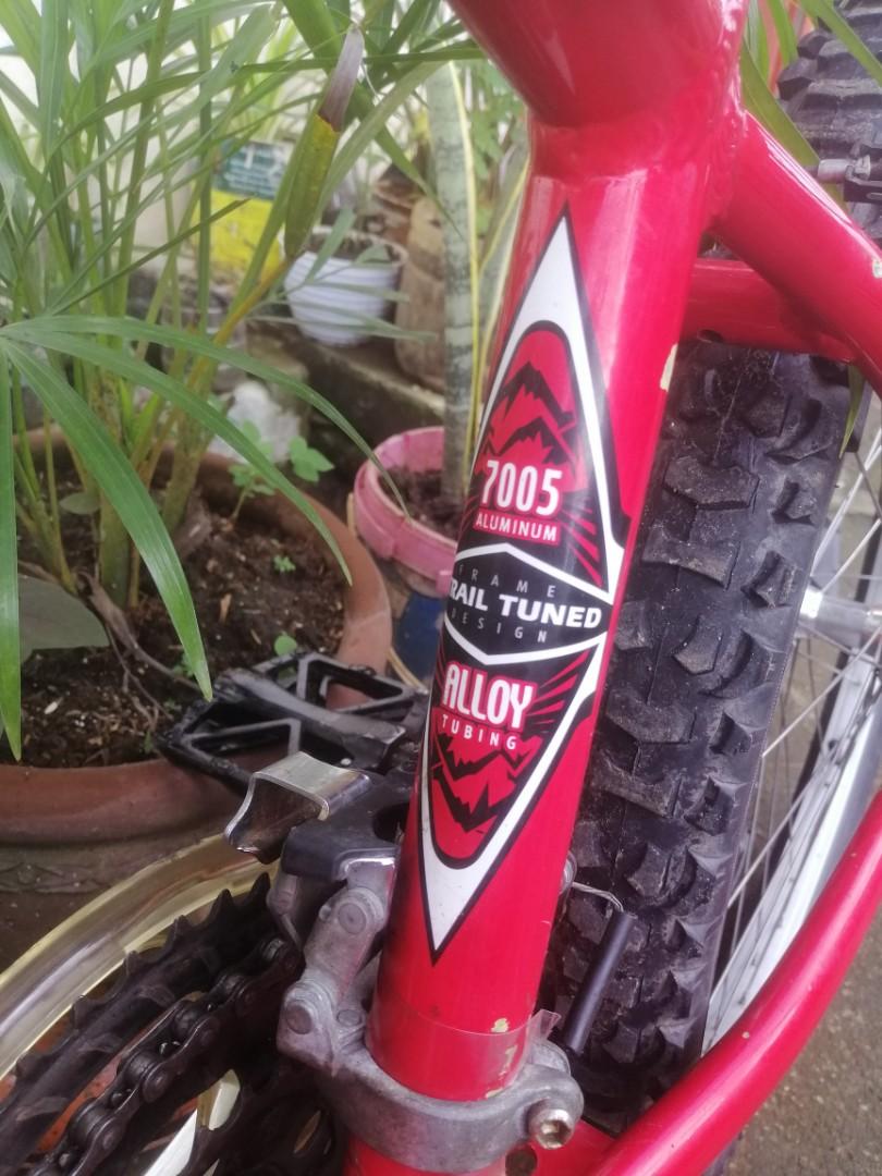Schwinn 210 FS 24