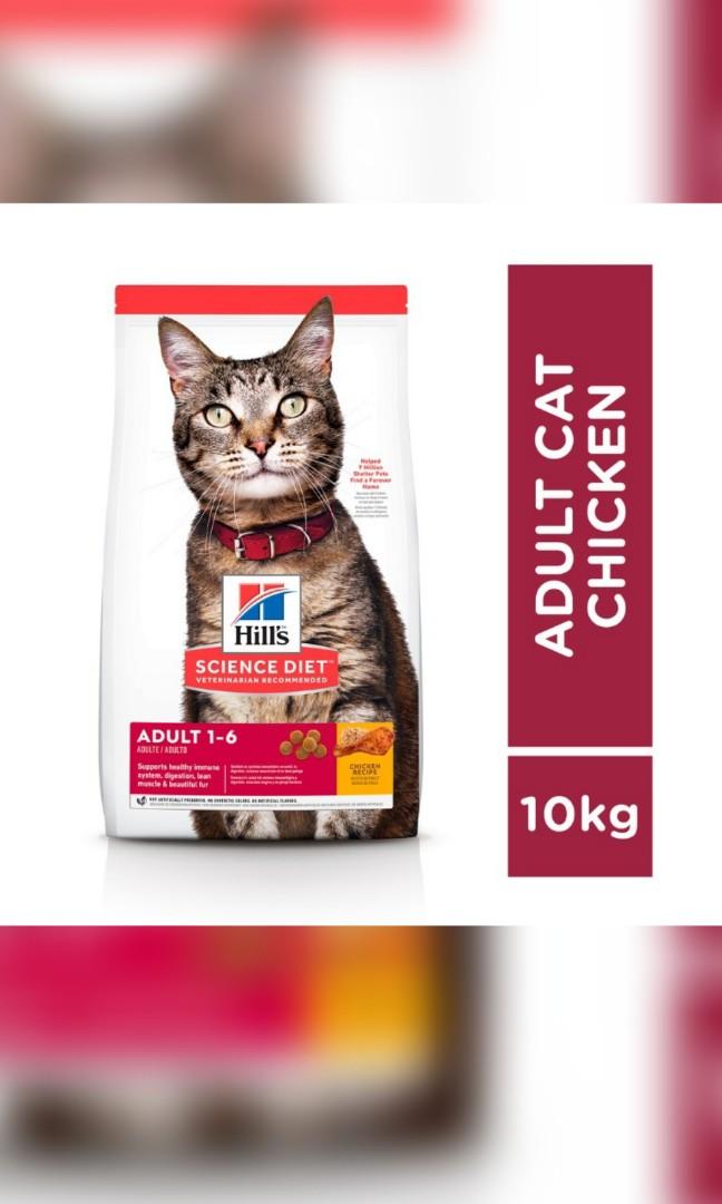 hills cat food 10kg