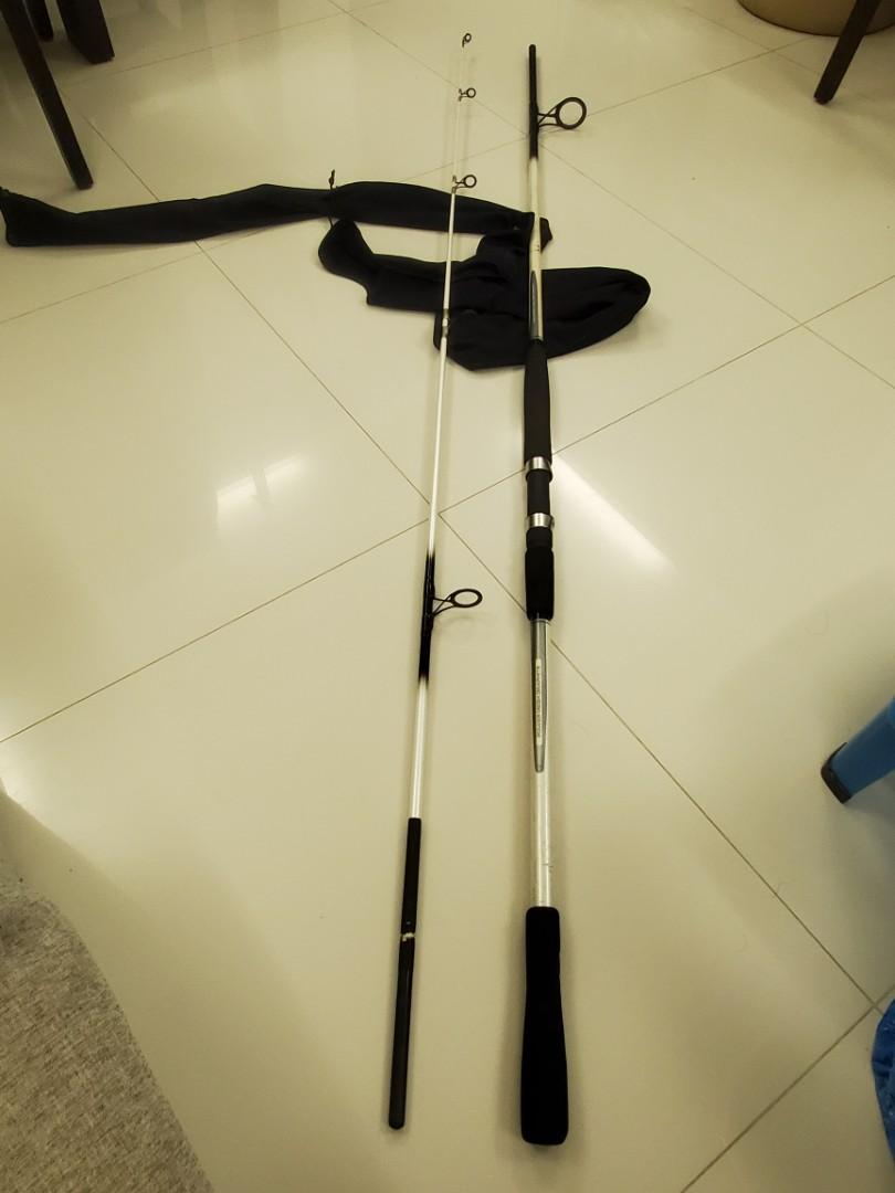 team daiwa surf rod