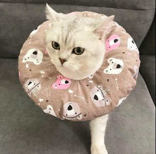 (Category: ) located in . Submitted by elitemeowcrew (Listing ID 1059403021, Image 1). Description: .