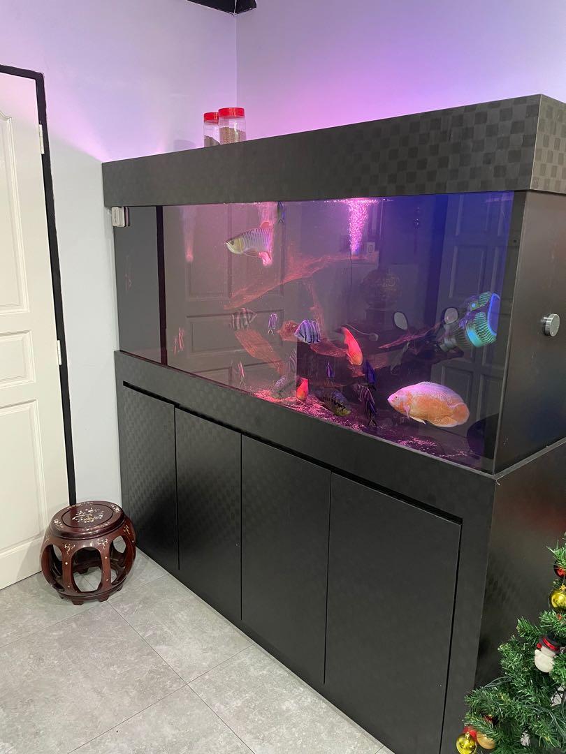 6ft fish tank discount