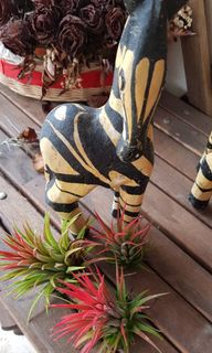 (Category: ) located in . Submitted by t.g.i.f.a (Listing ID 1059301871, Image 1). Description: .