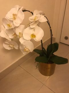 （分類：）位於 。 由 copps 提交（商品編號 1059323744，圖片 1）。簡介： 。