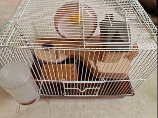 (Category: ) located in . Submitted by fetchk (Listing ID 1059211921, Image 1). Description: .