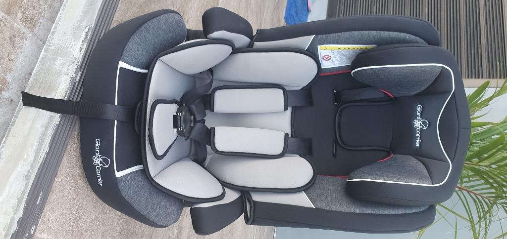 Giant Carrier Ziggy Car Seat Babies Kids Going Out Carriers