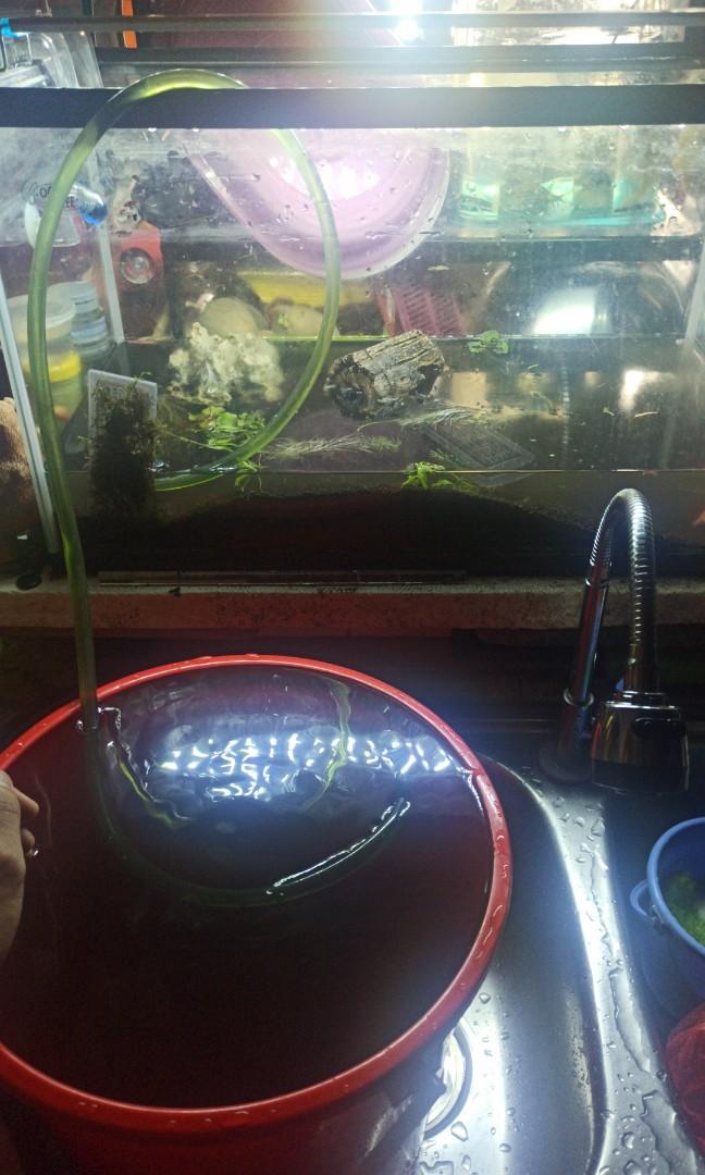 Custom Glass Panel for top of aquarium, made to order fish tank top