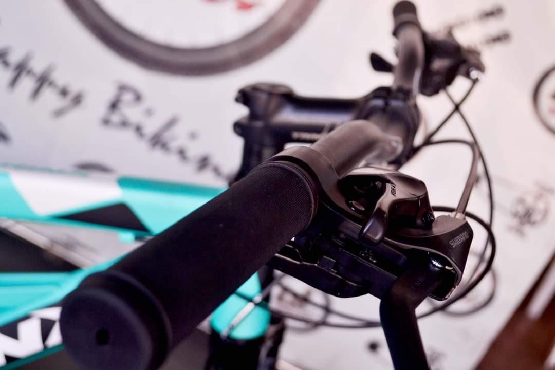 Trinx evolution store