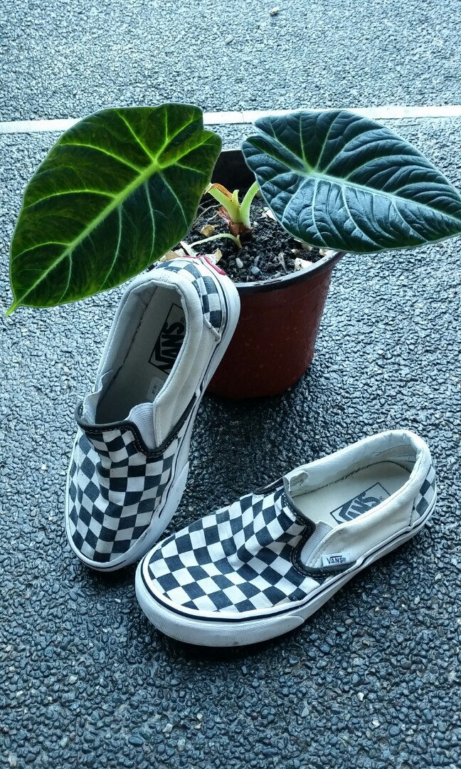 vans teal slip on