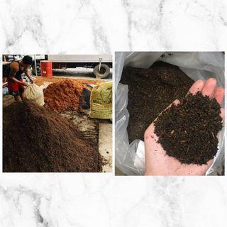 Garden Soil Flowers Plants Carousell Philippines