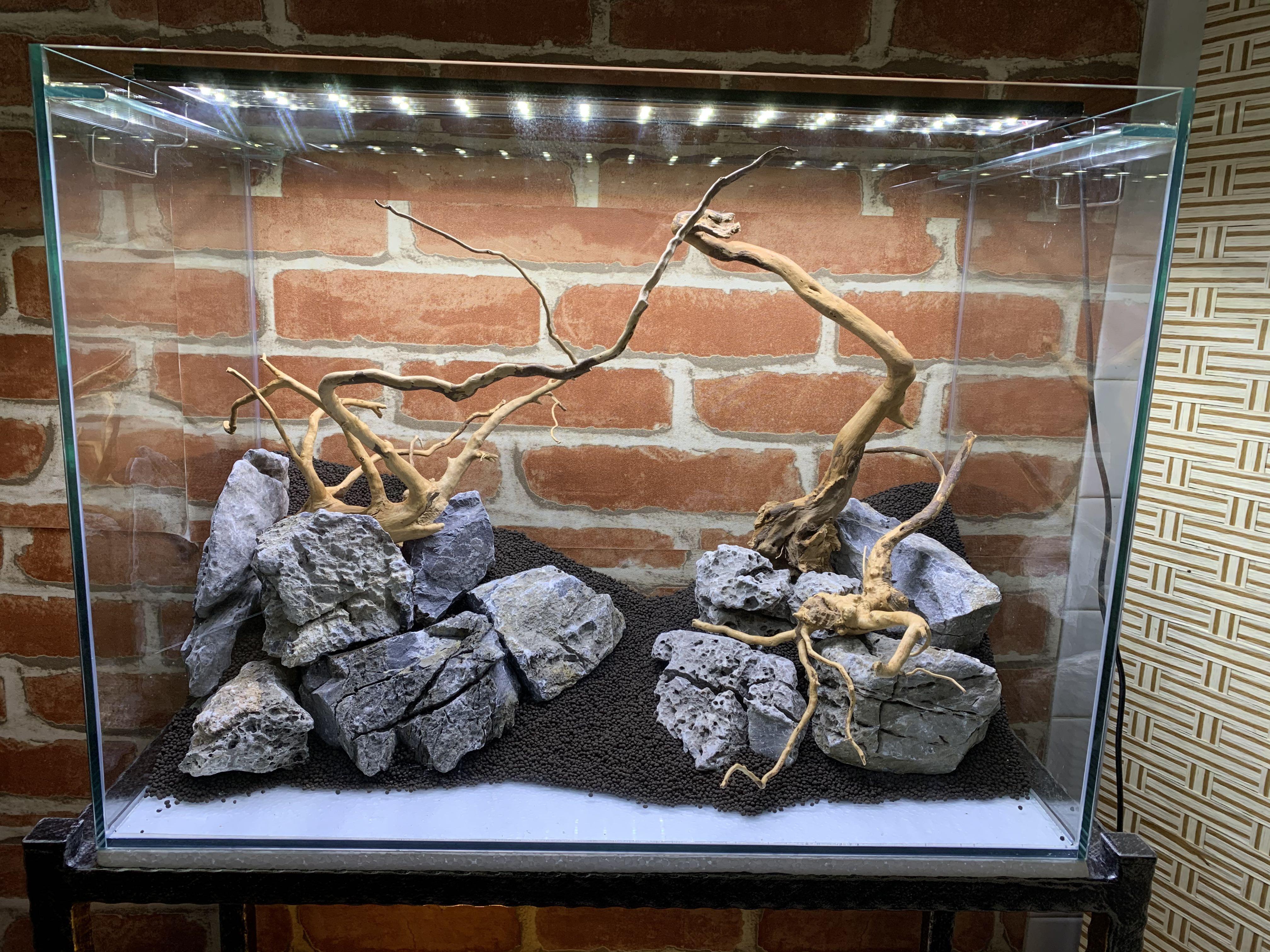 Fish Tank Rocks & Driftwood, Pet Supplies, Homes & Other Pet