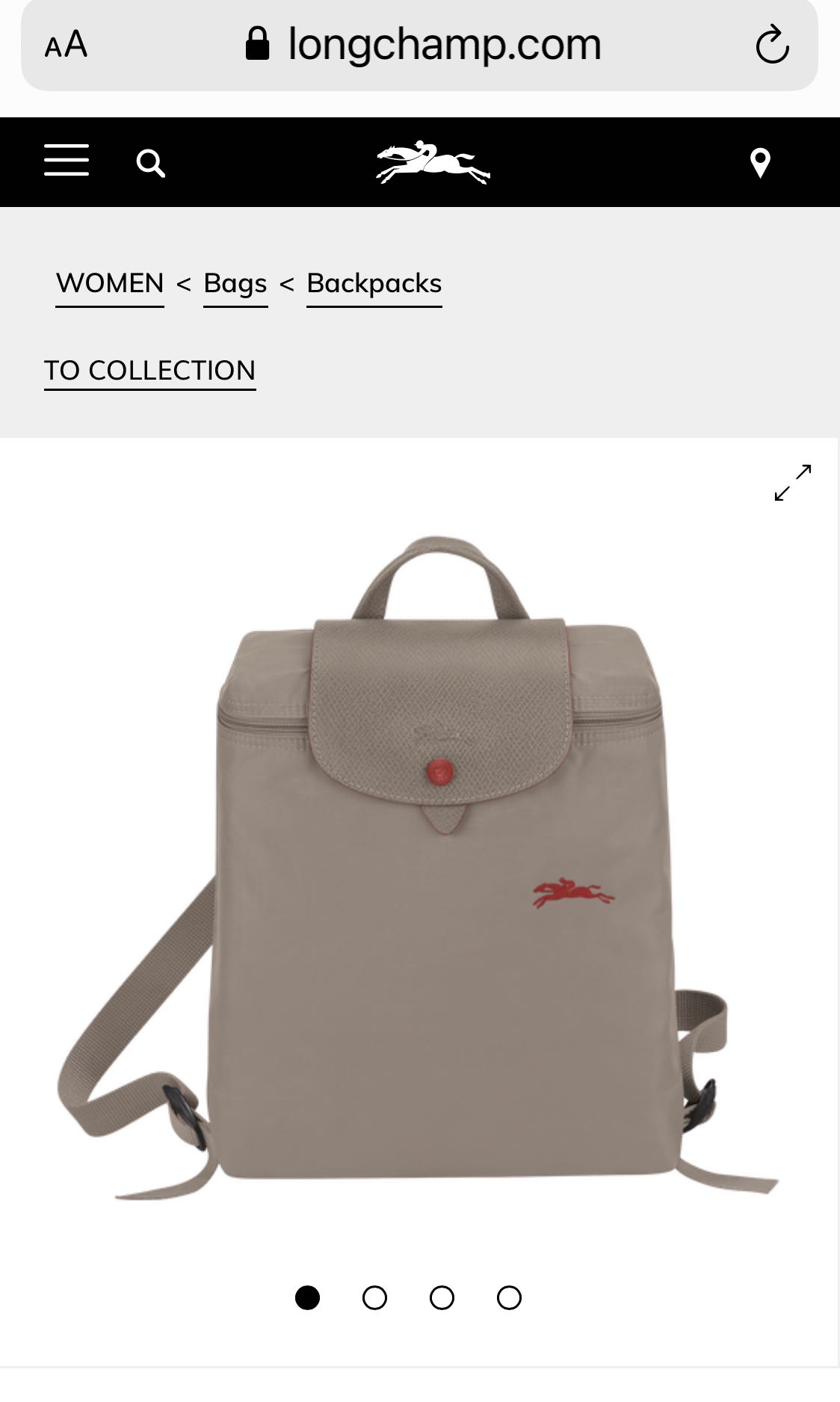 Longchamp backpack original, 女裝, 女裝 