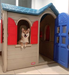 (Category: ) located in . Submitted by pamlreyes (Listing ID 1053288114, Image 1). Description: .