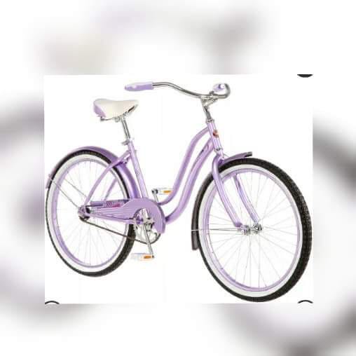 Schwinn legacy deals bike parts