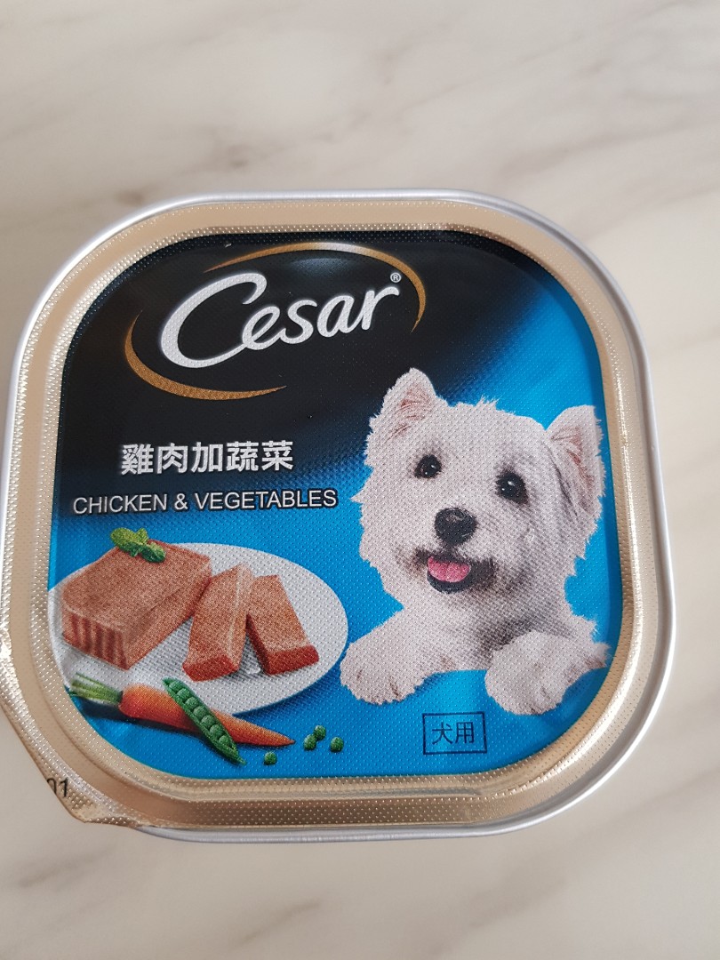 cesar dog food bulk buy