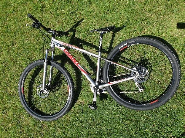 giant revel for sale