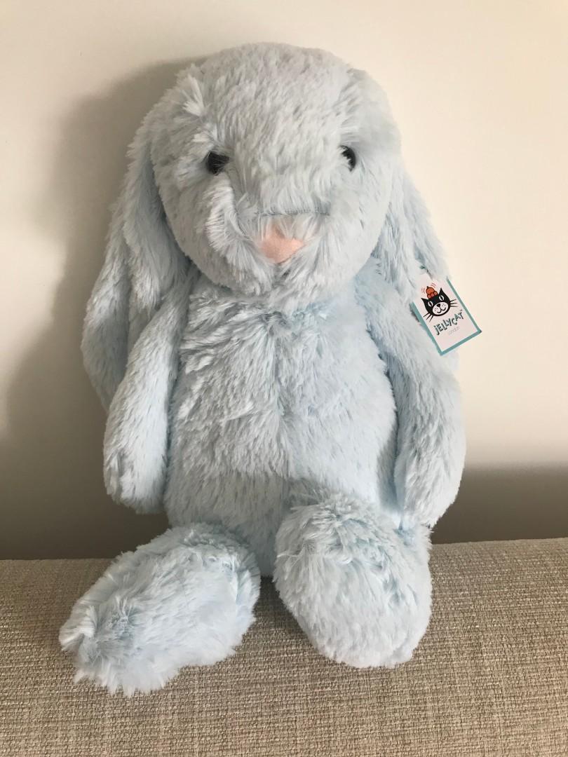 bashful bunny blue