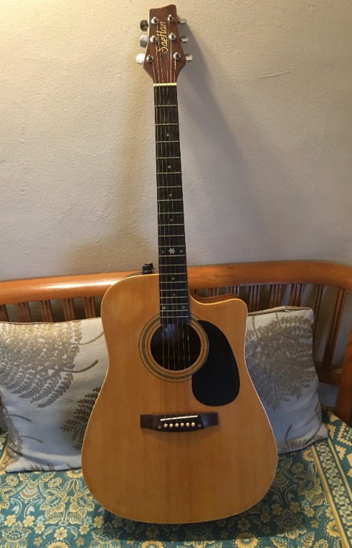 Saehan guitar price deals