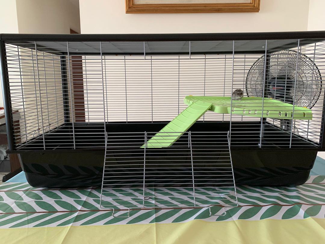 hamster plaza knock down
