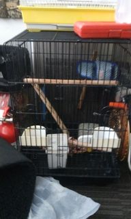 (Category: ) located in . Submitted by allyn18 (Listing ID 1059443485, Image 1). Description: .