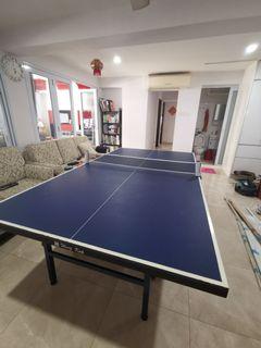 Table Tennis Table