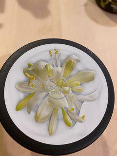 The Body Shop辣木籽更新保水美肌優格