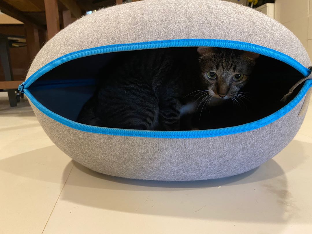 Cat cave (kitty not included), Pet Supplies, Homes & Other Pet ...